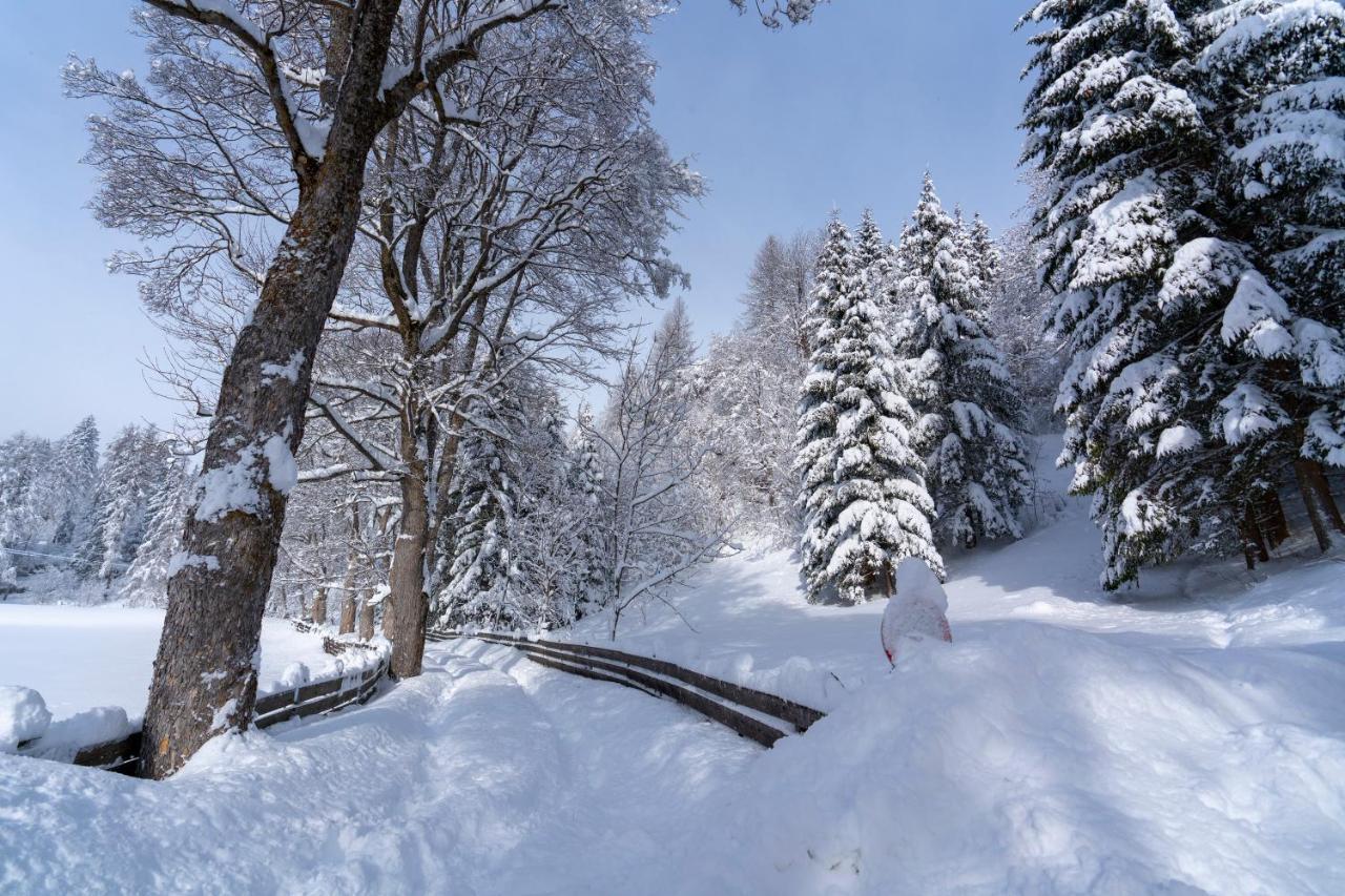 Chalet Traumblick Mauterndorf  Exteriér fotografie