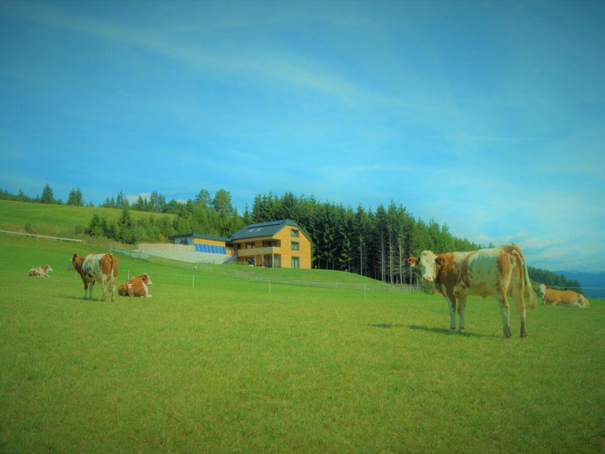 Chalet Traumblick Mauterndorf  Exteriér fotografie